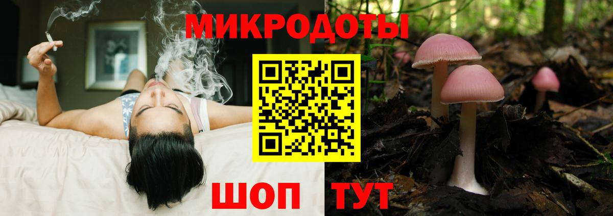 Галлюциногенные грибы прущие грибы Томск